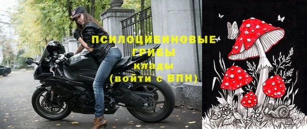 гидропоника Сатка