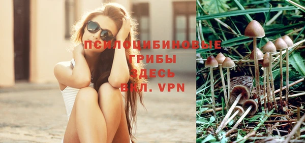 гидропоника Сатка