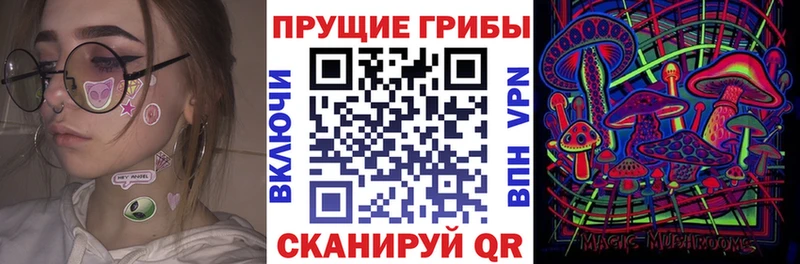 Купить  Коломна  Псилоцибиновые грибы мицелий 